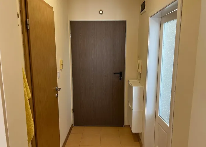 Breeze Reunion Apartment *